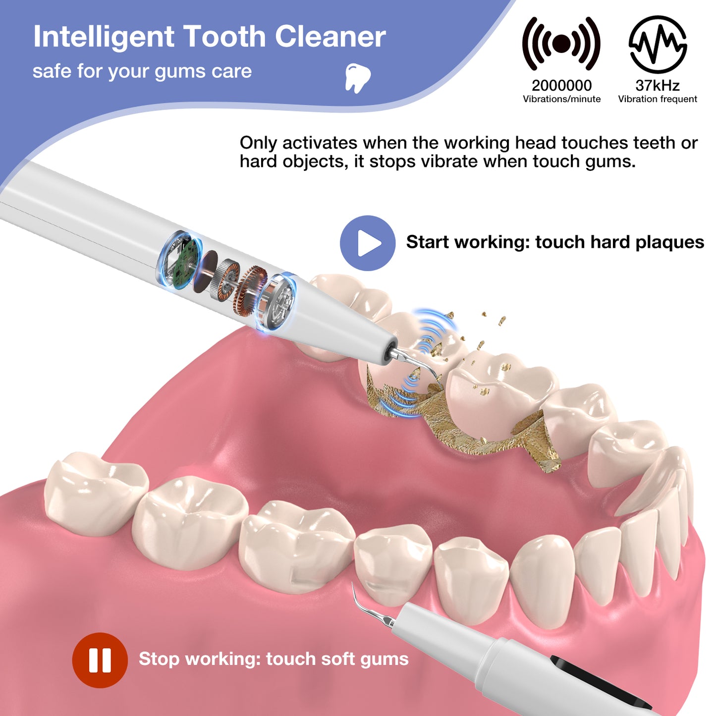 Dlopede Plaque Remover for Teeth with Camera, Ultrasonic Tooth Cleaner with 5 Modes,Blu-Ray Storage Compartment, Wall Mounted Base, Dental Mirror & 2 Cleaning Heads Electric Teeth Cleaning Kit